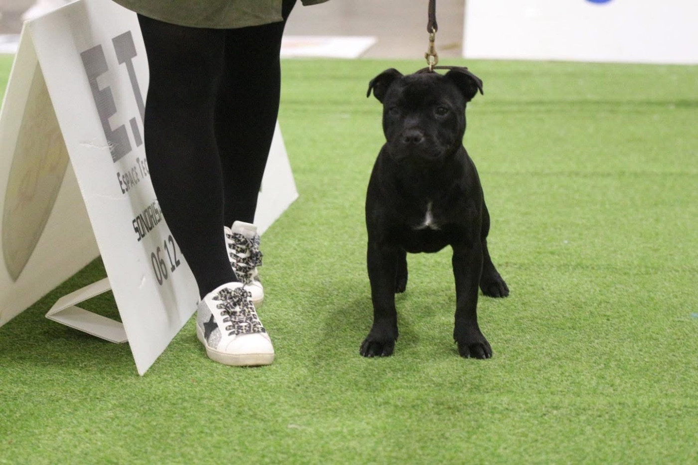 Alive Des Guerriers D'Amour